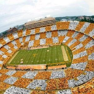 Meet your Posher, Tj